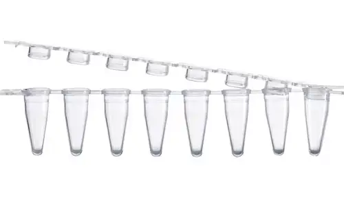 Key Knowledge and Practical Insights of 8 Strip PCR Tubes